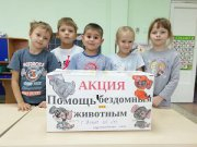 Кейс игра «Спасатели животных»
