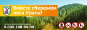 Сохраним леса Урала!